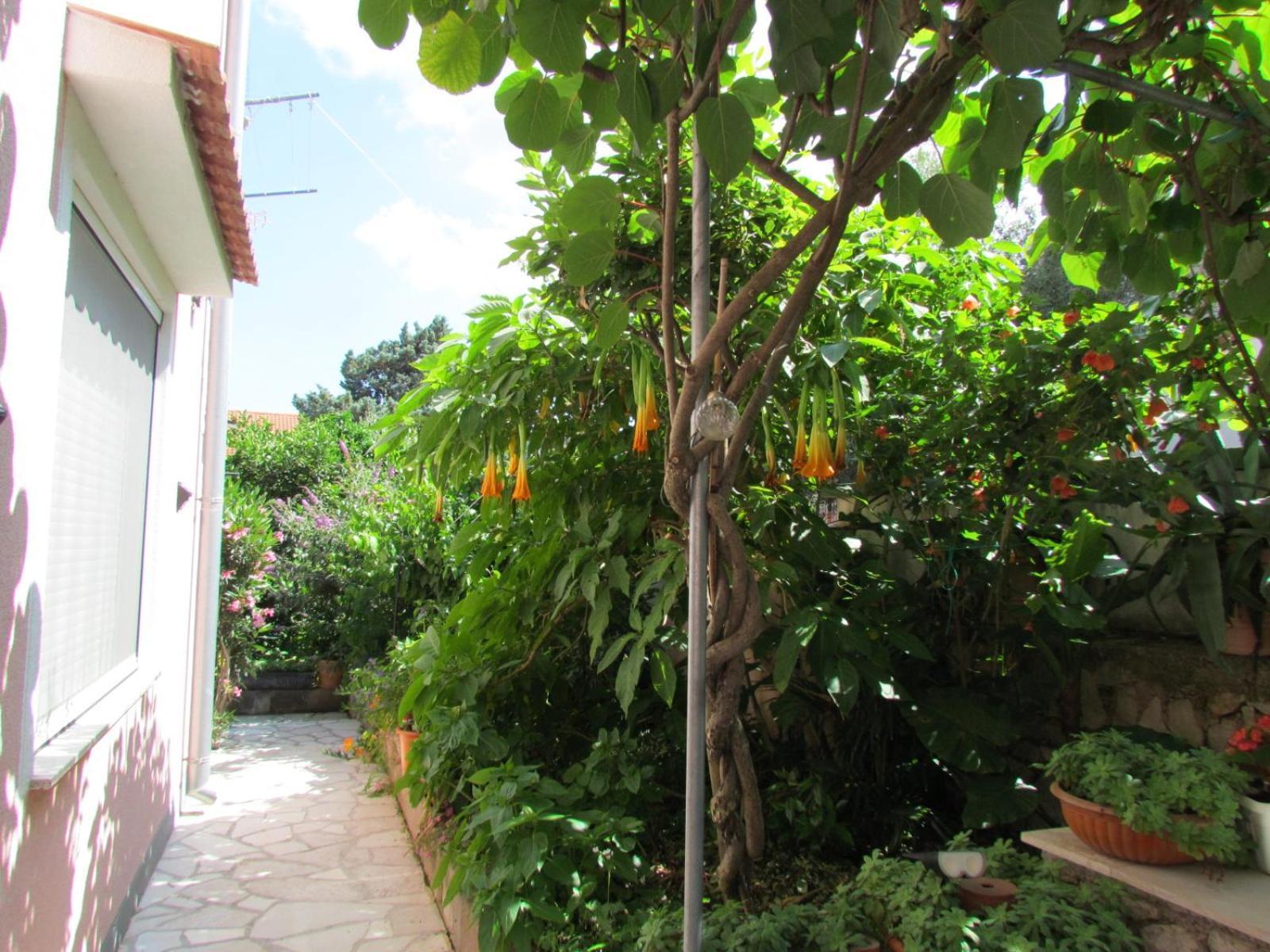 Apartments Bura & Jugo, Cres, Without Stress ภายนอก รูปภาพ