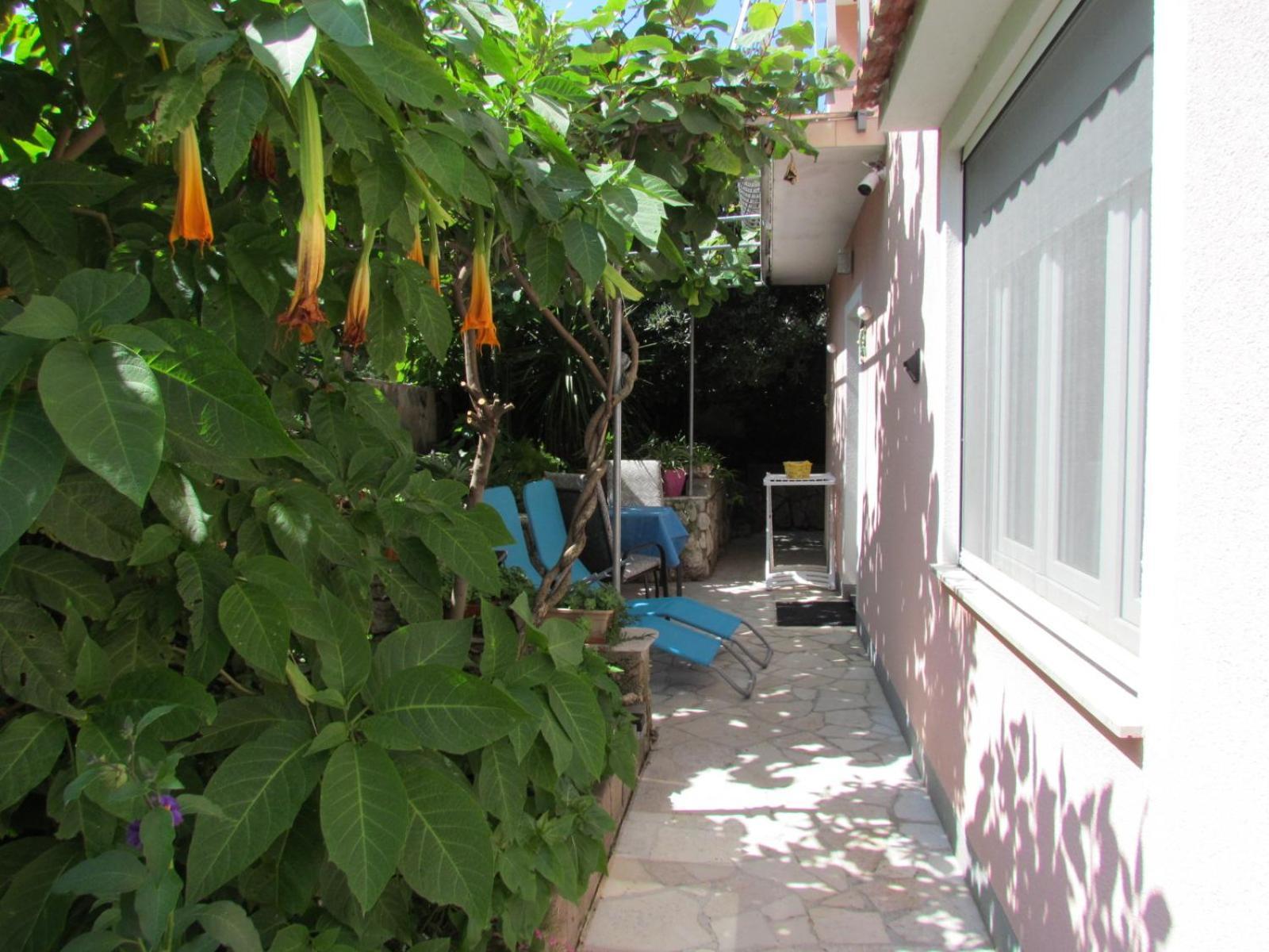 Apartments Bura & Jugo, Cres, Without Stress ภายนอก รูปภาพ